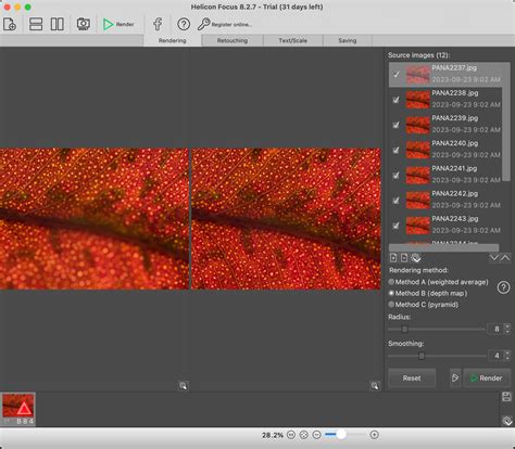 Zerene Stacker Review: Easy & Advanced Focus .